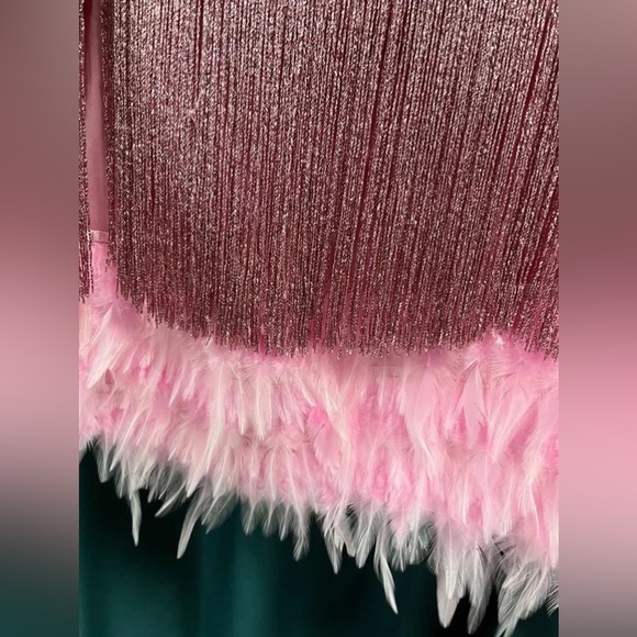 Ballerina Pink Sexy Fringe Feather Skirt Set With Tassles, 2 Piece Set - Picture 9 of 10
